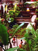 Worshipes Bathing before Prayer, Temple in Mountains, Bali